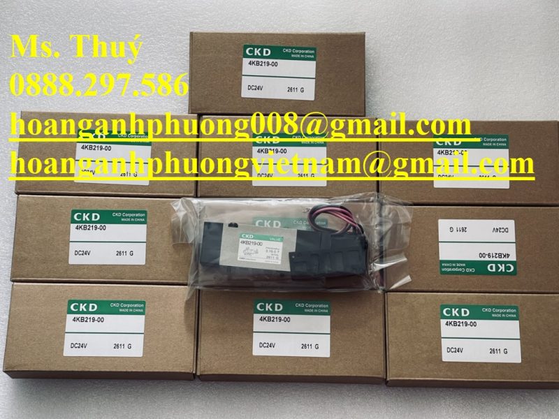 van-chinh-hang-ckd-4kb219-00-phan-phoi-boi-hoang-anh-phuong