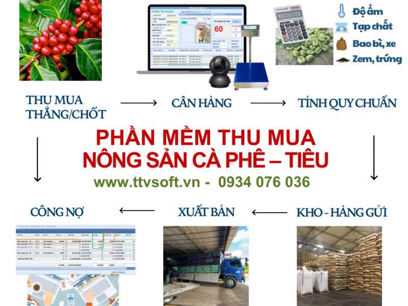 quan-ly-thu-mua-cafe-tieu-va-tinh-quy-chuan-hang