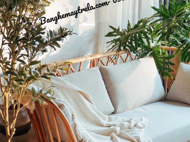 ghe-bang-sofa-may-tre-dan