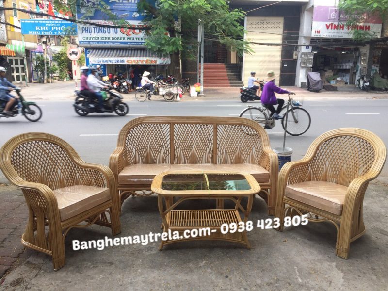 sofa-may-tu-nhien-cay-dong-hien-dai