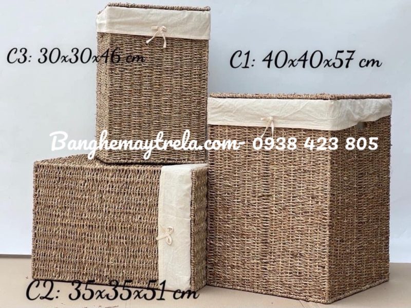 gio-dung-do-may-tu-nhien