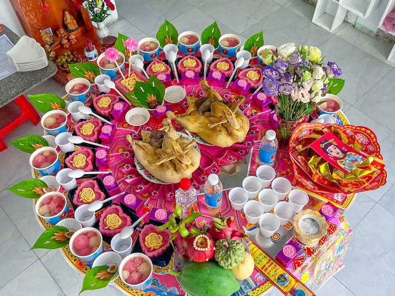 y-nghia-cap-vit-tren-mam-cung-day-thang-thoi-noi