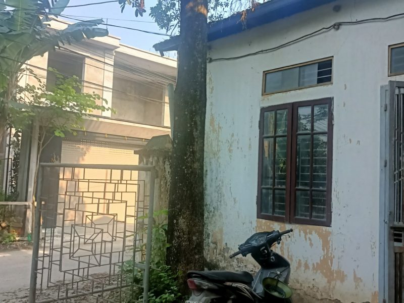 lam-nha-can-ban-cay-hoa-sua-mot-than-rat-dep
