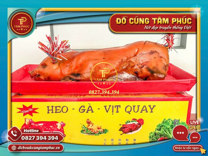 cung-heo-quay-mieng-va-heo-quay-con-cai-nao-tot-hon