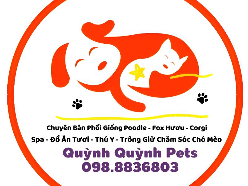 nhan-phoi-giong-corgi-ha-noi-0988836803