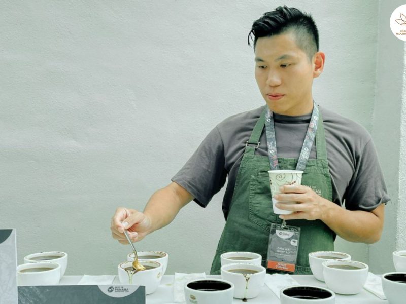 challenging-and-refining-cupping-bias