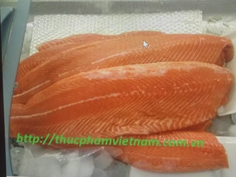 cung-cap-du-loai-ca-hoi-nauy-nhap-khau-gia-tot-nhat-thi-truong-hien-nay