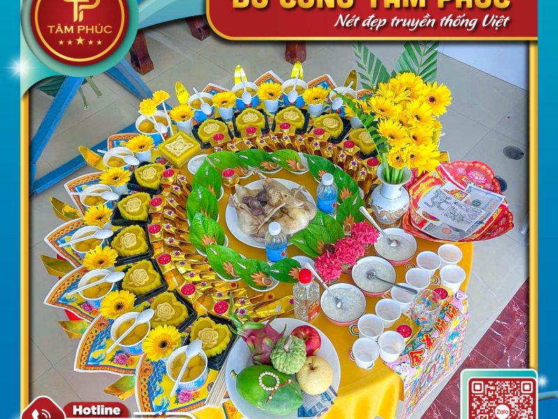 y-nghia-sau-sac-cac-mau-hoa-dong-tien-tren-mam-cung-mu-