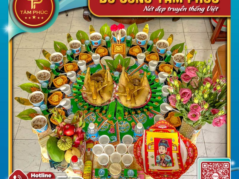 nen-chon-ga-hay-vit-trong-mam-cung-mu-cho-be-