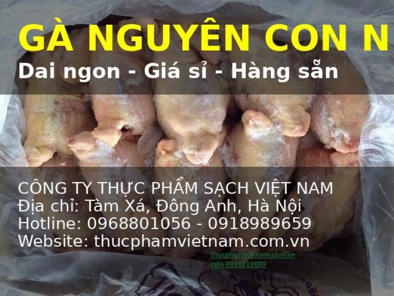 ga-nguyen-con-dong-lanh-hang-nhap-khau