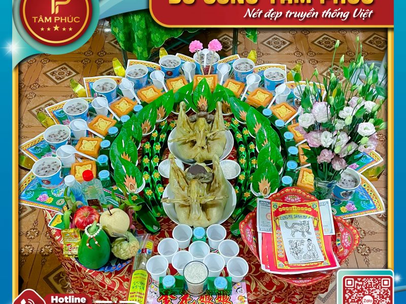 y-nghia-13-phan-xoi-che-tren-mam-cung-mu-cho-be-
