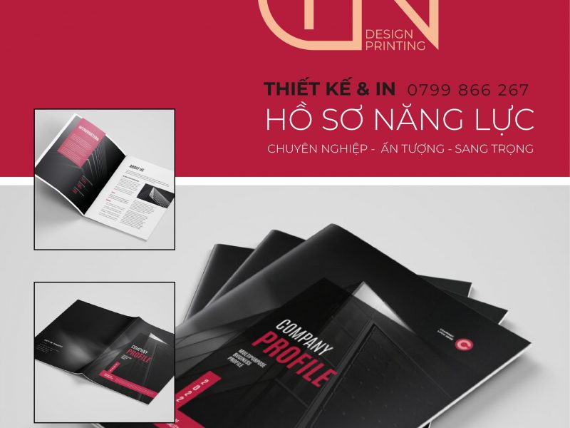 thiet-ke-in-ho-so-nang-luc-company-profile-pgn-production