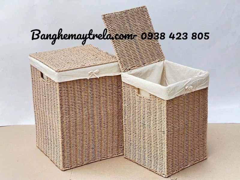gio-dung-do-may-tu-nhien-phong-ngu