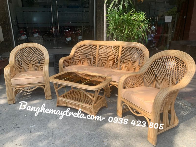 ban-ghe-sofa-may-tu-nhien-cay-dong