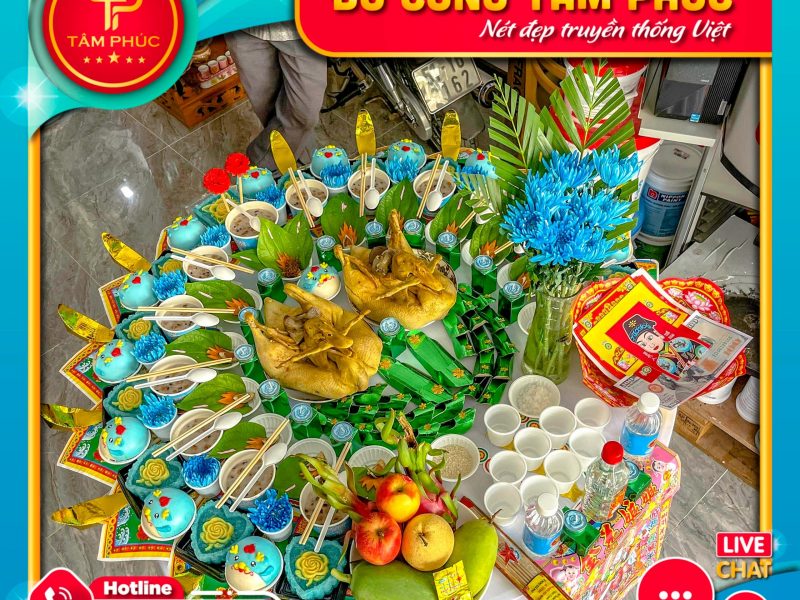 nen-chon-ga-hay-vit-trong-mam-cung-mu-cho-be-