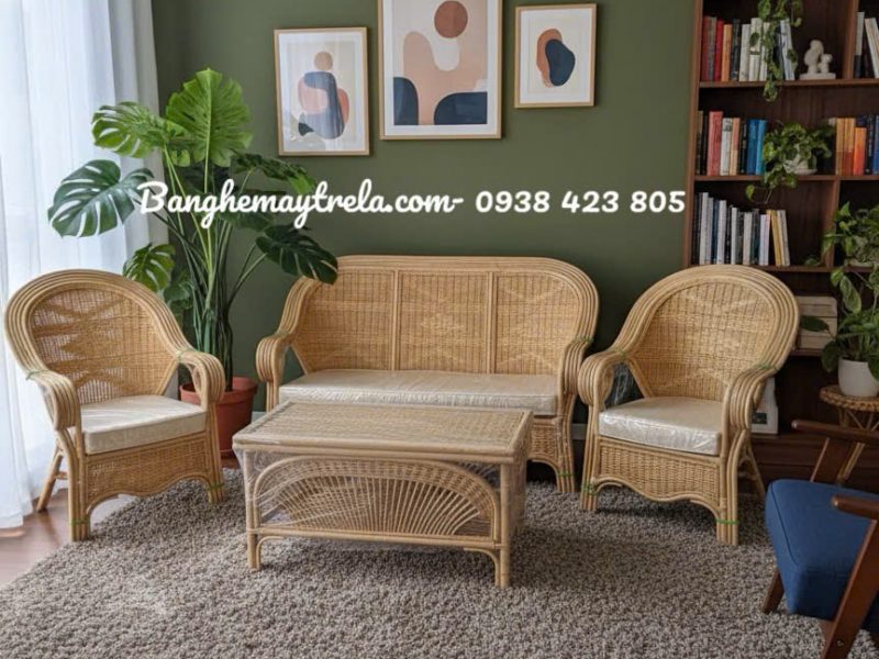 sofa-may-phong-khach-dan-kin