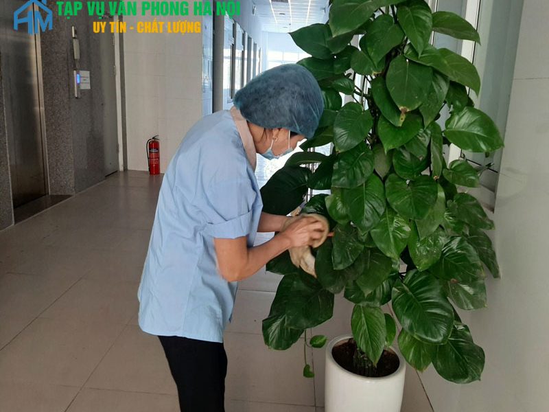 ve-sinh-van-phong-thro-gio-tai-ha-noi