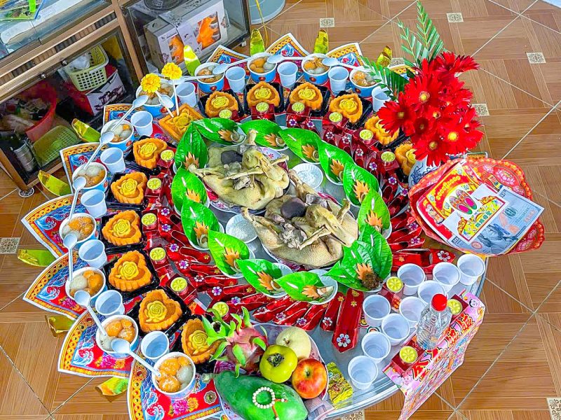 y-nghia-cap-vit-tren-mam-cung-day-thang-thoi-noi