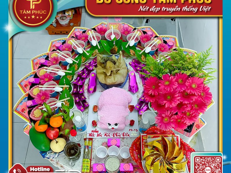 y-nghia-ve-hoa-dong-tien-trong-mam-cung-mu-cho-be-