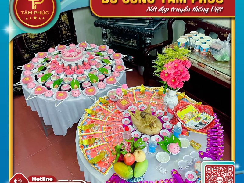 y-nghia-ve-hoa-dong-tien-trong-mam-cung-mu-cho-be-