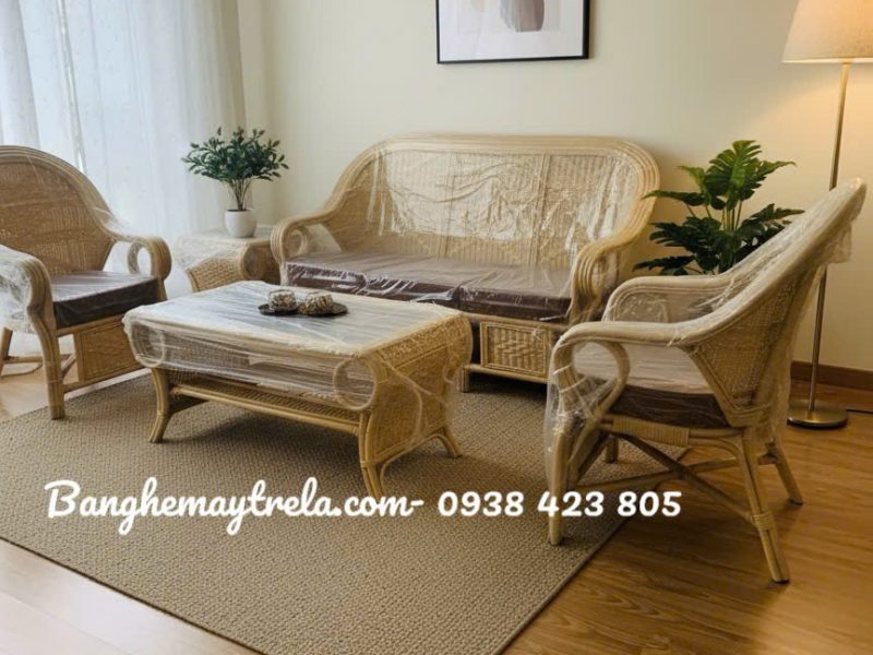 sofa-may-phong-khach-dan-kin