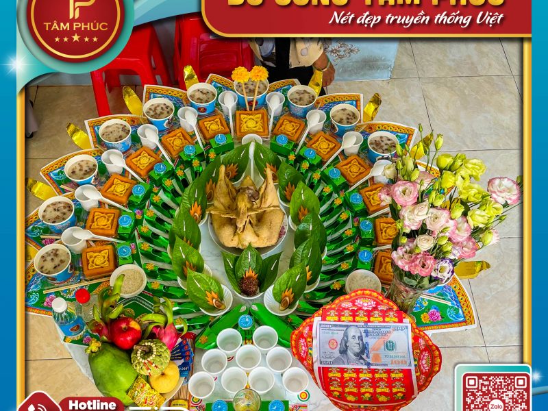 vi-tri-dat-mam-le-cung-day-thang-cho-be-
