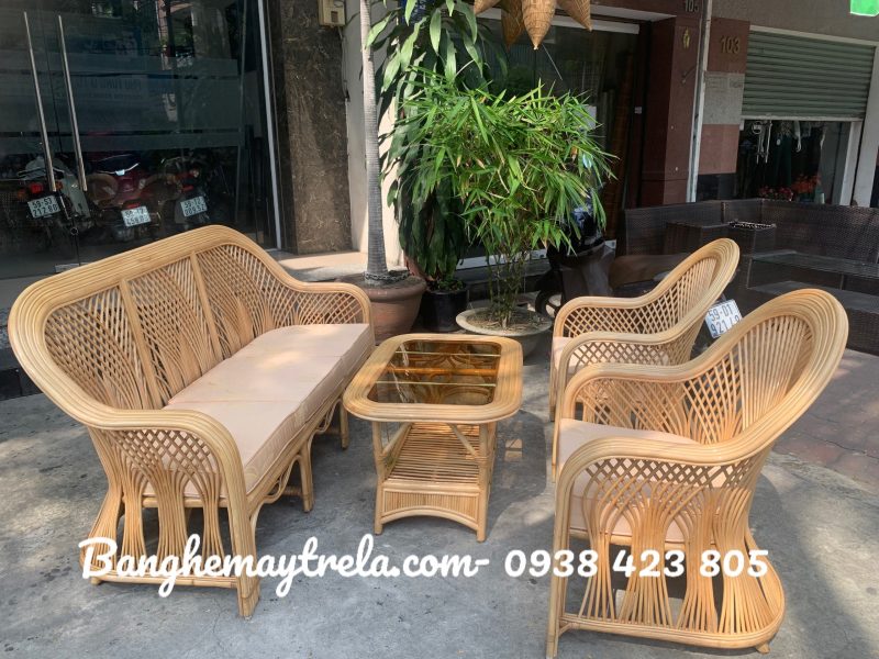 ban-ghe-sofa-may-tu-nhien-cay-dong