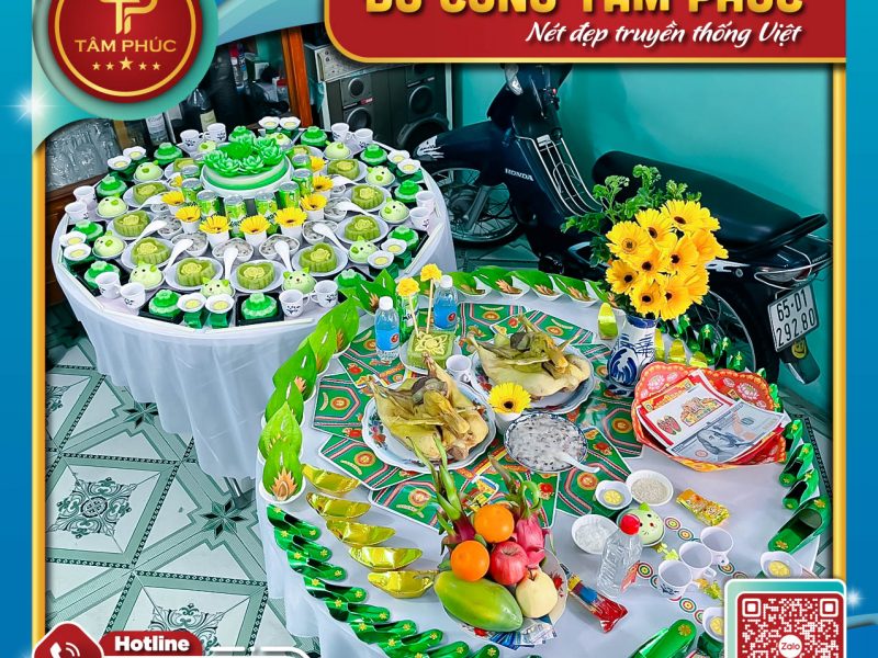 y-nghia-ve-hoa-dong-tien-trong-mam-cung-mu-cho-be-