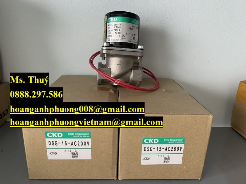 thiet-bi-nhap-khau-chuyen-van-ckd-dsg-15-ac200v-binh-duong