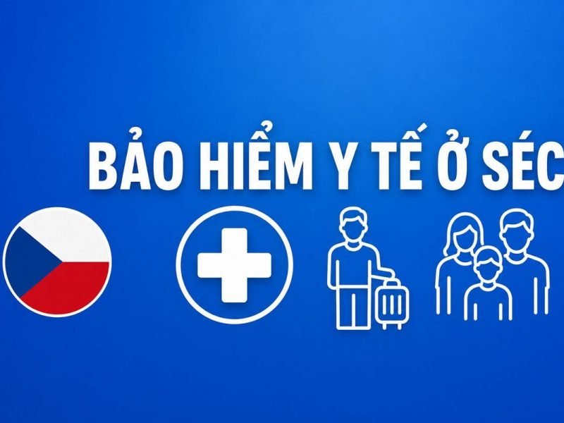 Bảo hiểm y tế ở Séc cho người nước ngoài: du lịch, lao động, kinh doanh, đi theo, trên 65 tuổi — cách tính cụ thể