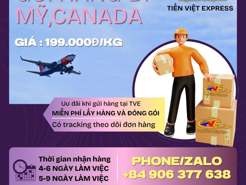 van-chuyen-hang-khong-khong-lo-ve-gia-tai-tien-viet