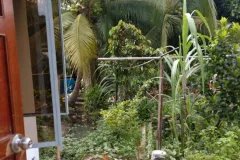 có dư phòng trọ cho thuê