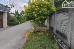 Bán nhà gần cầu An Hóa, Bình Đại, Vĩnh Long