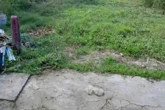 Bán lô đất đẹp tại Đồng Tháp