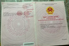 Bán đất 100m² tại KDC Trung Thành, Cần Đước, Tây Ninh