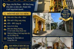 Biệt thự Pháp cổ 4 tầng tại Bình Tân, Hồ Chí Minh
