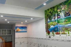 Cho thuê nhà Bà Điểm, Hóc Môn, TP.HCM