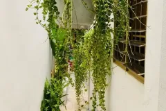 Bán nhà mới 52m² tại Quận 10, TP. Hồ Chí Minh