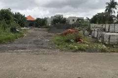 Cho thuê đất nông nghiệp 2000m2 tại Quận 12, TPHCM