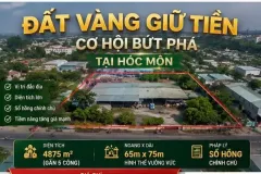 Bán đất 4875m2 tại Hóc Môn, giá 55 tỷ