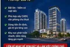 Cần gấp! Đất 577m2 Mặt Tiền Đặng Thúc Vịnh, Hóc Môn