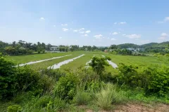 Đất làm nhà vườn tại Củ Chi, Hồ Chí Minh
