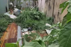 Bán đất 86m2 gần Chợ Lạc Quang, Quận 12, TP.HCM