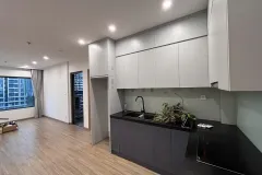 Cho thuê căn hộ 2 phòng ngủ tại Vinhomes Smart City, Hà Nội
