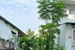 [L3037*] Đất Đường  59 An Hội Tây, cạnh Chợ Thạch Đà, Giá 7.x Tỷ