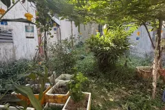 Bán đất SHR hẻm ô tô né gần Ngã Tư Ga, 83m² Thạnh Lộc 03