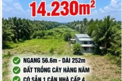Đất ven đô 14.230m² tại Củ Chi, giá 28 tỷ 14230m2 Tam Tân