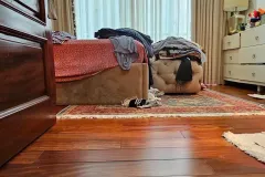 Bán nhà đẹp 5 tầng tại Ba Đình, Hà Nội