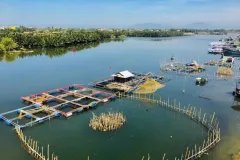 Bán lô đất 536m2 tại Cẩm Thanh -full thổ cư, giá chỉ 10tr5/mv