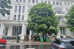 Bán nhà liền kề 5 tầng tại Louis City, Hoàng Mai